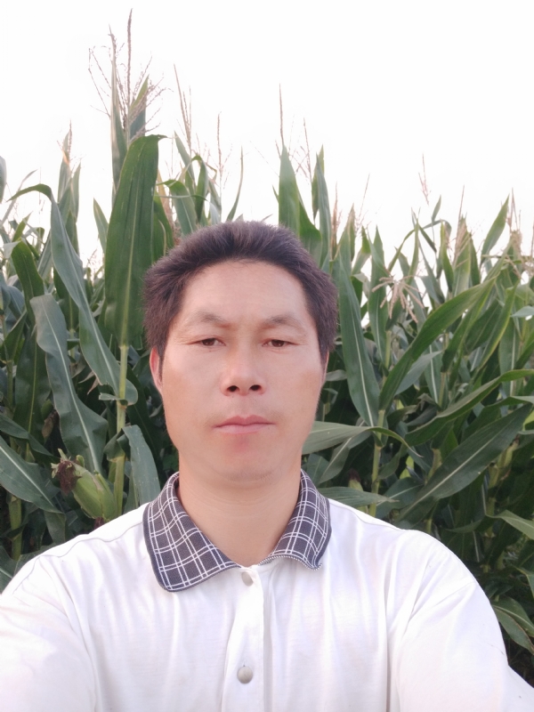 四海游龙的第一张照片--襄阳闪婚服务中心